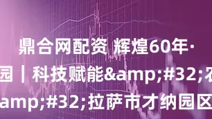 鼎合网配资 辉煌60年·我们的家园｜科技赋能&#32;农旅融合&#32;拉萨市才纳园区打造高原现代农业标杆